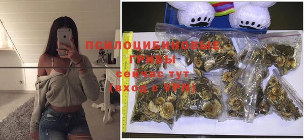 прущая мука Абаза