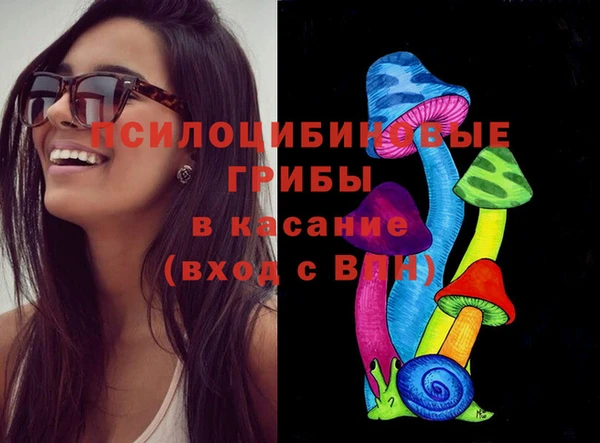 прущая мука Абаза