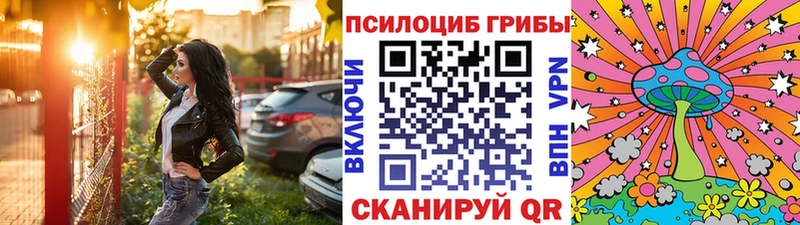 наркотики  Рославль  Псилоцибиновые грибы GOLDEN TEACHER 